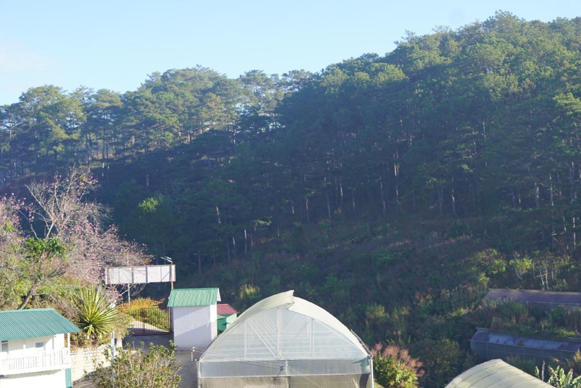 Lung Chung House Apartment Dalat Bagian luar foto