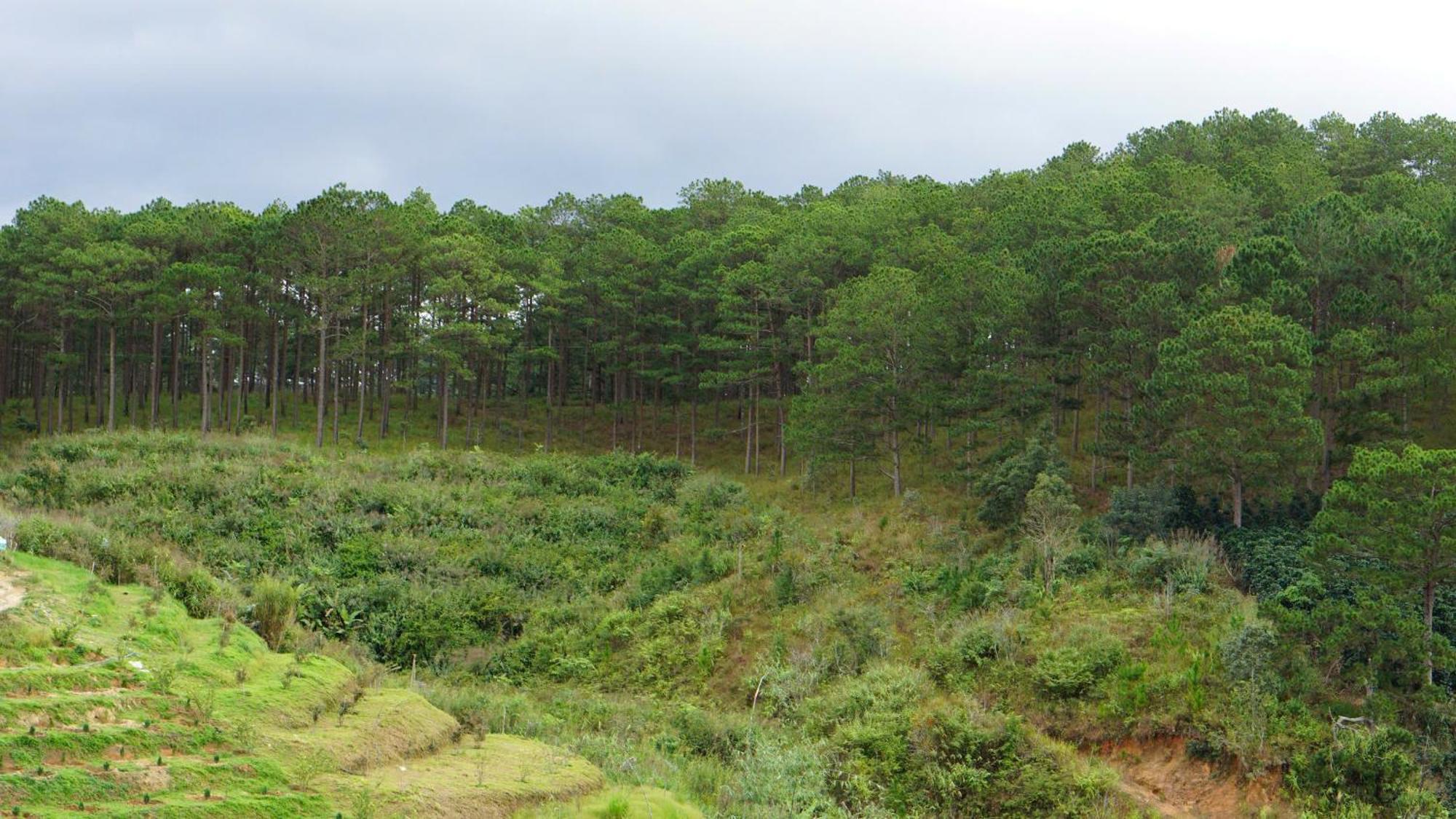 Lung Chung House Apartment Dalat Bagian luar foto
