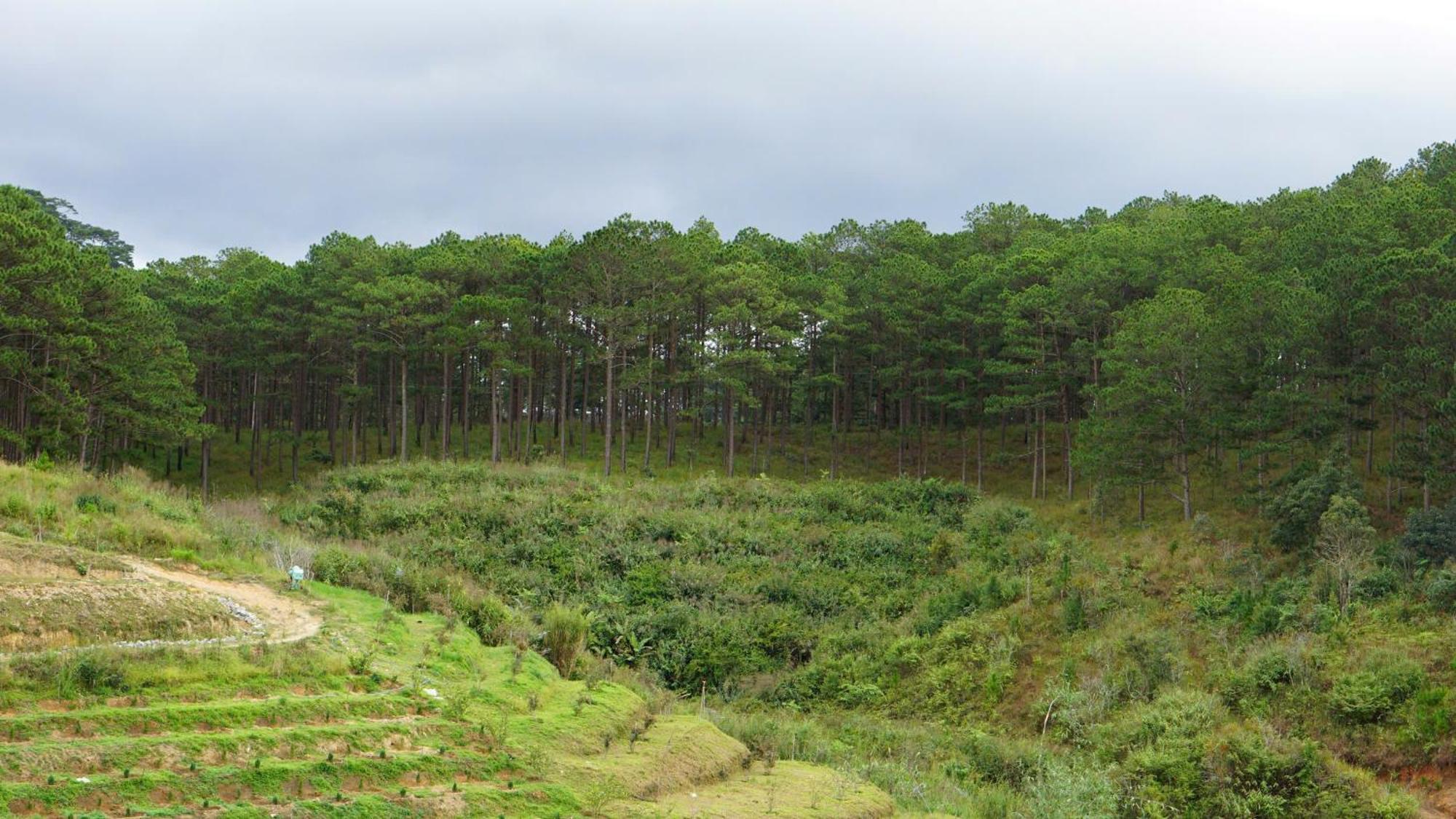 Lung Chung House Apartment Dalat Bagian luar foto